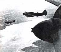 Торпедоносцы Ил-4Т ВВС СФ в воздухе. 1943 г.
